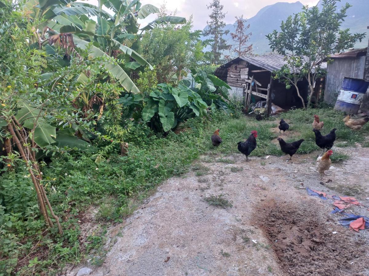 Homestay Hoang Vu Ha Giang Exterior photo